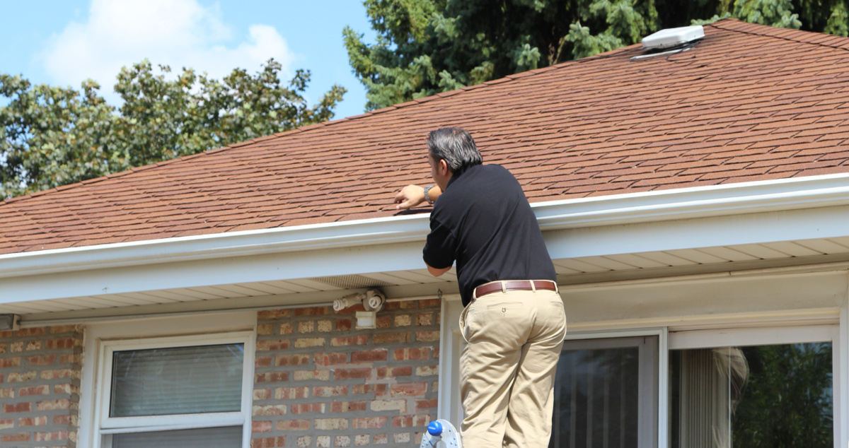 Roof Inspection