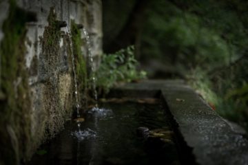 Dated Drainage System With Moss