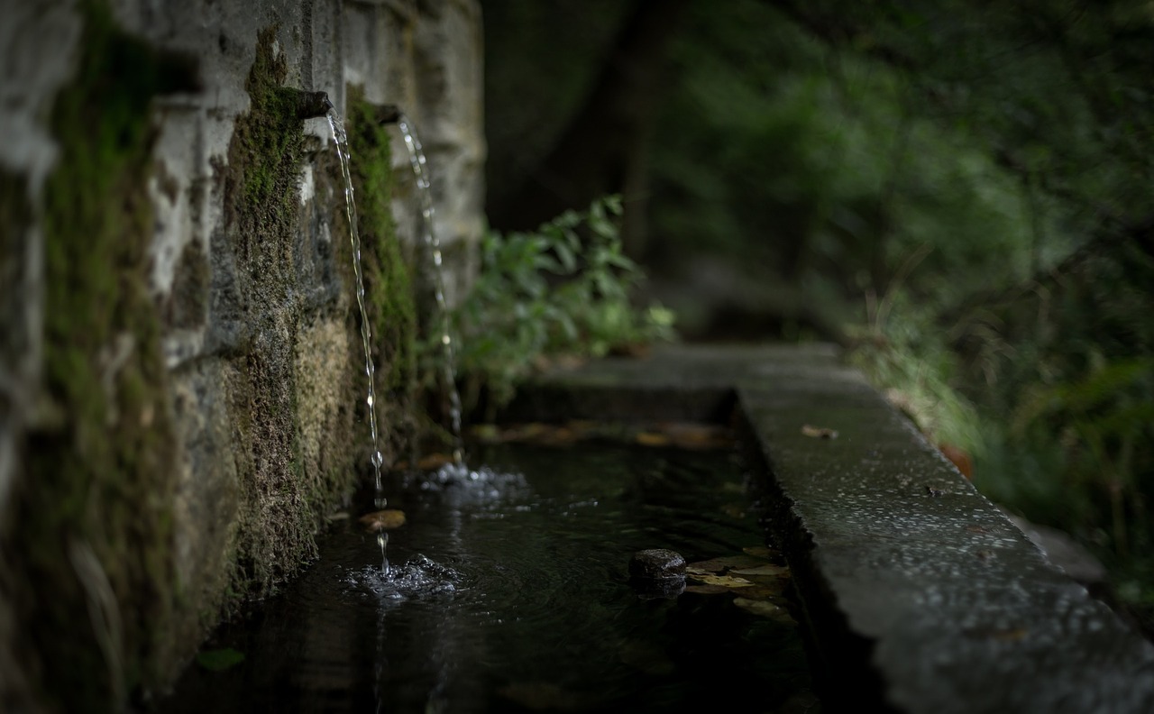 Dated Drainage System With Moss